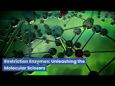 Restriction Enzymes: Unleashing the Molecular Scissors