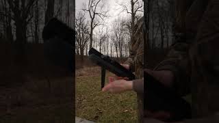 $200 Vs $800 Air Shotgun  #airgun #airgunning #gun #airrifleshooting #shorts