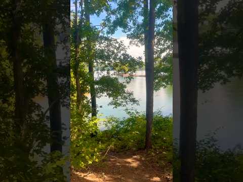 Carter Lake in Georgia #entertainment #georgia #classicalmusic #music #beatifulplace