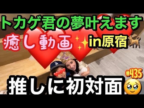 トカゲ君の推し活に付き合ったんだけど母もおこぼれ癒しもらいまくっちゃって白目むいちゃう🐕🥹🫶🏻ストレス社会にまじでこの癒しは必須だからみんなに遠隔癒しをお裾分け動画