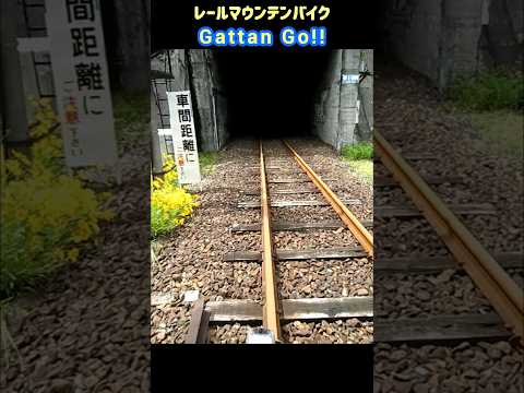 【トンネルに吸い込まれる、レールマウンテンバイク…】旧神岡鉄道・飛騨神岡駅 #shorts