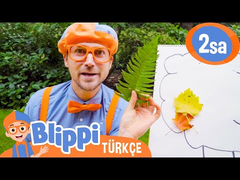 🍁 Sonbahar Yaprakları 🎃 Cadılar Bayramı Özel 🎃 Blippi Türkçe - Çocuklar için Eğitici Videolar