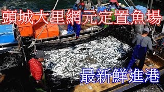 #信助哥愛分享の 大年初九來宜蘭大里源興定置魚場紀錄起漁 2021/2/20