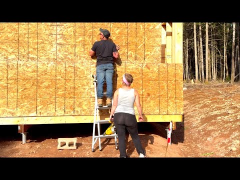 BUILDING Our OWN HOME in the CANADIAN WILDERNESS - Exterior Sheathing