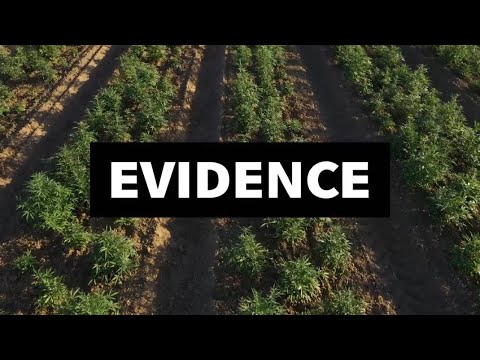 EVIDENCE / Last Prisoner Project