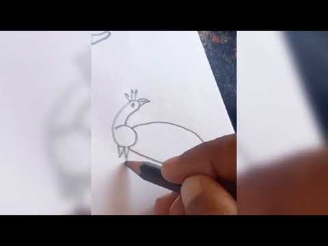 Easy drawing with numbers