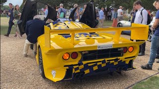 McLaren F1 GTR Longtail Warm Up & Revs