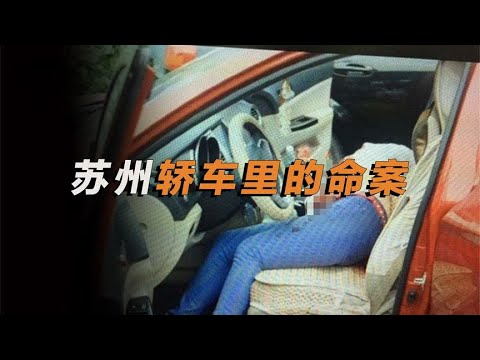 轎車里發生了什么？女子胸中數刀慘死，兇手的真實身份令人意外 #中国密探 #案件 #探案 #懸案 #懸疑