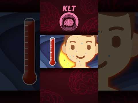 Sweating Cools Down The Body! | KLT Anatomy #shorts