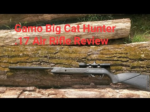 Gamo Big Cat Hunter .17 Air Rifle