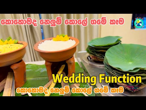 කොහොමද නෙලුම් කොලේ ගමේ කෑම ? ( Food Traveller )