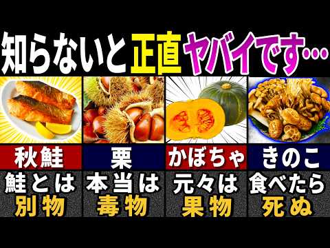 本当は教えたくない…９７％の人が知らない秋の食べ物の秘密６選【ゆっくり解説】