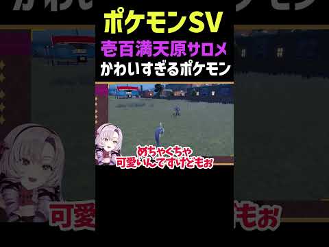 可愛すぎるポケモンに遭遇したサロメ【ポケモンSV】