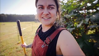 Knowing my Limits (And some fall gardening) | VLOG