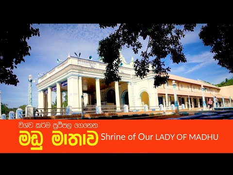 විශ්වකර්ම අනුහස් ඇති මරඳමඩු මෑණියෝ | Shrine of Our Lady of Madhu (Mannar)