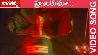 ప్రణయమా... Video Song || Nagakanya Telugu Movie || Suresh || Nirosha Radha || Telugu Movie Talkies