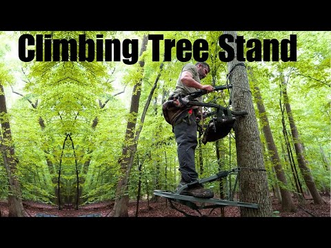 Best Climbing Tree Stand – Get Higher, Stay Stealthy, Hunt Smarter!