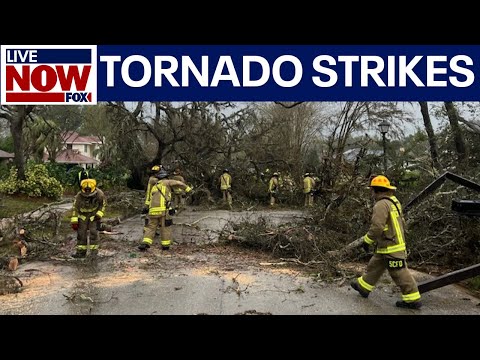 Tornado slams Lake Mary, Florida | LiveNOW from FOX