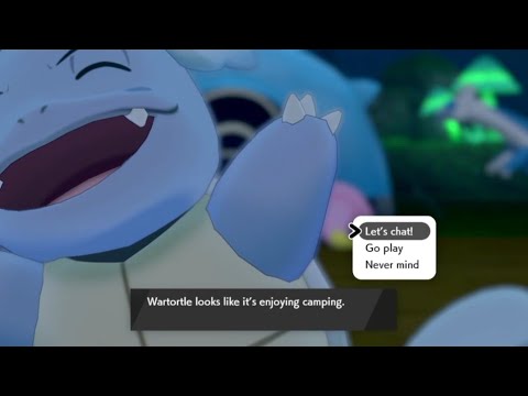 Wartortle Wdym-