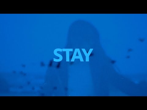 Harry Was Here - Stay (Acoustic) // Lyrics