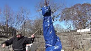 Apricot Tree Cold Protection