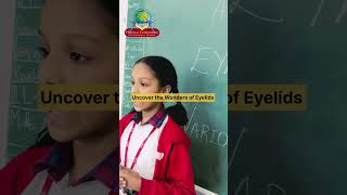 Wonders of eyelids #school #clayschool #kids #claycraft