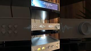 BRAND NEW HiFi Rose RD160 DAC playing at Audio Advice Live 2024! @hifirose