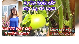 NGƯỜI VIỆT Ở MỸ/TUỔI TRẺ TÀI CAO CHỦ 3 TIỆM NAILS 1 TIỆM QUẦN ÁO VÀ CÓ KHU VƯỜN ĐỘC NHẤT VÔ NHỊ