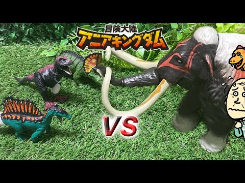 マンモースVSダークフレイム＆スピン＆トリー｜恐竜バトル｜アニアキングダム｜ティラノサウルス｜スピノサウルス｜トリケラトプス｜trex｜dinosaur