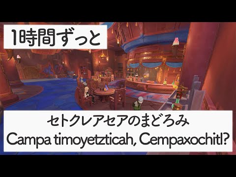 [Genshin BGM]  - Campa timoyetzticah, Cempaxochitl? - [Natlan/Weary Inn]