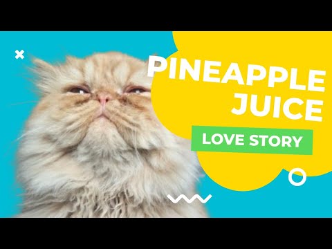 Pineapple Juice | a Cat's Love Story| Kenaz | Simba | Short film | పండ్ల రసం