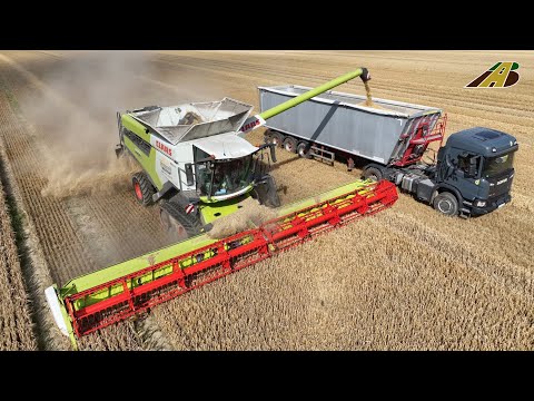 Getreideernte 2024 - Mähdrescher CLAAS LEXION 8600 , Scania & Mercedes LKW Combine Harvester Harvest