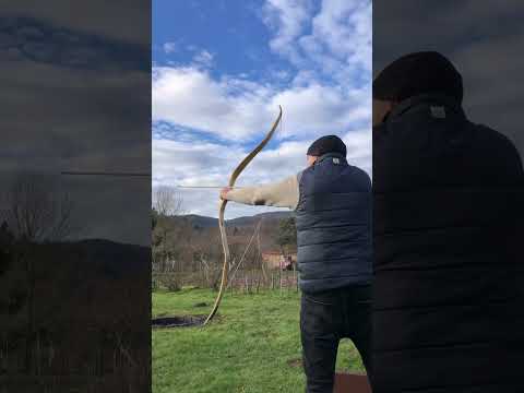 First Shot 🔥 Homemade Wood Recurve Bow  🏹