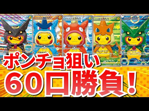 【ポケカ】ポンチョ狙い６０口勝負！ #ポケカ #ポケモンカード #オリパ #カードナイン