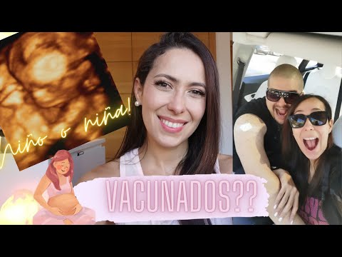 VACUNADOS 😷?? - EL BEBE SERÁ NIÑO O NIÑA? VLOG 18 SEMANAS DE EMBARAZO