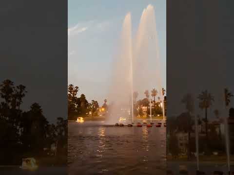 Perfect date night at Echo Park's swan boats #couples #travelvlog