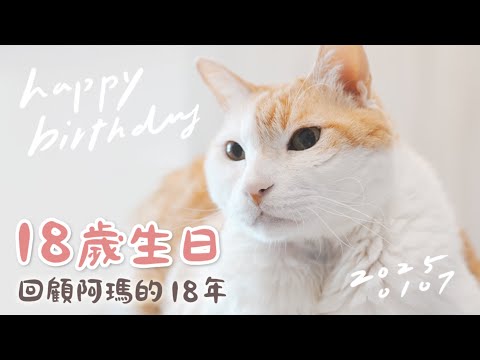 【黃阿瑪的後宮生活】阿瑪18歲生日！回顧阿瑪的18年！