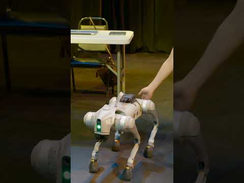 EXCLUSIVE BTS: Unitree’s Robot Dog Casted in a Play