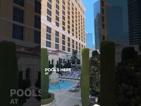 The Bellagio Pools in Las Vegas (BEST Las Vegas Pools Part 3) #lasvegaspools #thevenetianlasvegas