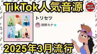 【TikTok】2025🇯🇵バズった音源【トリセツ】