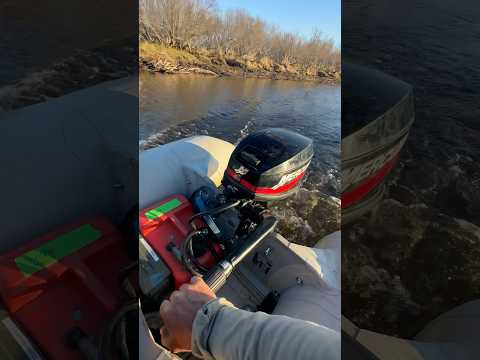 Small boat FULL of Moose Paddles 🚤 #hunting