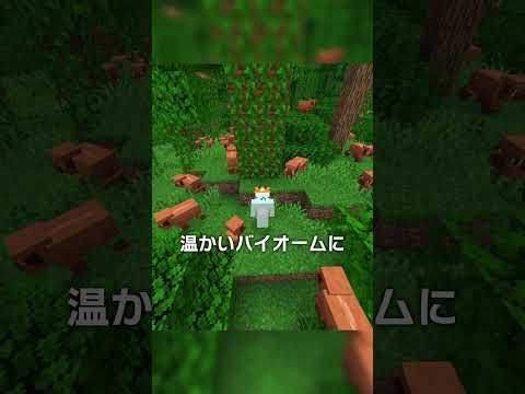 MODじゃない！？ブタに種類が追加され..！？【マイクラ豆知識 解説 裏技】