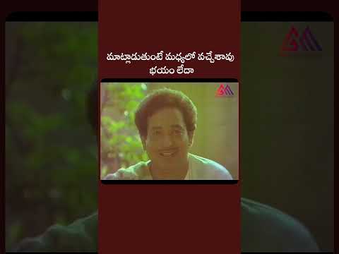 మాట్లాడుతుంటే మధ్యలో వచ్చేశావు - భయం లేదా #funnycomedy #moviescenes