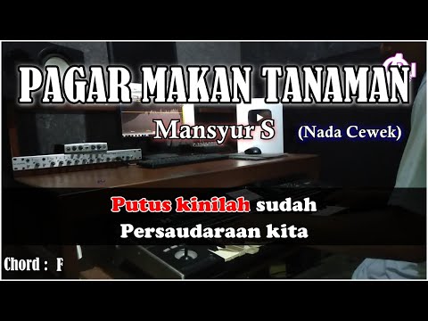 PAGAR MAKAN TANAMAN - Masnyur S - Karaoke Dangdut (Nada Cewek) Korg Pa3x Lirik& Chord