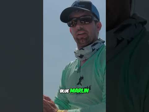 Chasing the Grand Slam: Blue Marlin Fishing Adventure!