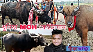 চিকাবড়ি মʼহ  কেইটা আৰু নতুনকৈ আনা মʼহ কেইটামান || mohjuj sikabori #mohjuj #mohorjuj #mrblack