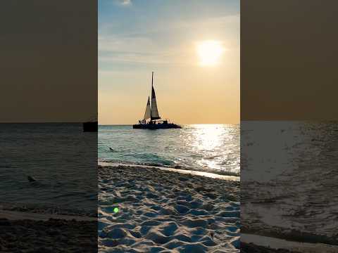 Aruba #eaglebeach #aruba #travel #beach #sunset