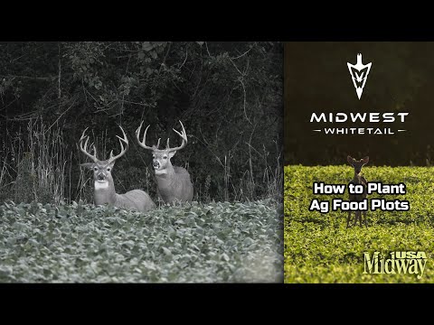 How to Plant Ag Food Plots | Midwest Whitetail