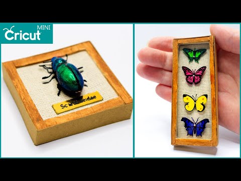 Crafting Mini Masterpieces with Cricut: Butterfly & Beetle Display Boxes!