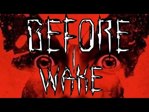 THE BRIGHT AND DARK WORLD OF BEFORE I WAKE